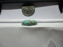 Load image into Gallery viewer, 27.4 ct (25.5x20x7.5 mm) Stabilized Web #8 Turquoise, Cabochon Gemstone, # HK 73