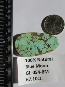 67.1 ct. (51x27x6 mm) 100% Natural Web Blue Moon Turquoise Cabochon Gemstone # GL 054