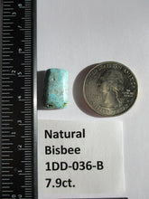 Load image into Gallery viewer, 7.9 ct. (18x11x4.5 mm) Natural Bisbee Turquoise Cabochon Gemstone, 1DD 036