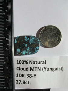 27.9 ct. (26x21x5.5 mm) 100% Natural Cloud Mountain (Yungaisi) Turquoise  Cabochon, Gemstone, # 1DK 38