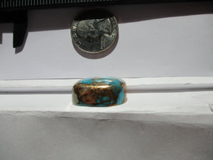 43.5 ct. (22x19x10 mm) Pressed/Stabilized Kingman Spiny Oyster Turquoise Cabochon, Gemstone, # 1DN 39