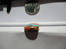 Load image into Gallery viewer, 33.4 ct. (25x18.5x7 mm) Pressed/Stabilized Kingman Spiny Oyster Turquoise Cabochon, Gemstone, # 1DN 43
