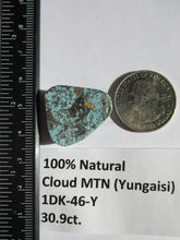Load image into Gallery viewer, 30.9 ct. (26x22x7.5 mm) 100% Natural Web Cloud Mountain (Yungaisi) Turquoise  Cabochon, Gemstone, # 1DK 46