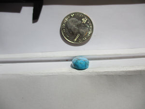 9.7 ct. (22x10.5x5 mm) Natural High Grade Kingman Black Web Turquoise Cabochon Gemstone, # JI 60