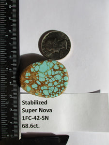 68.6 ct. (38x28x9.5 mm) Stabilized Supernova Turquoise Cabochon Gemstone, # 1FC 42