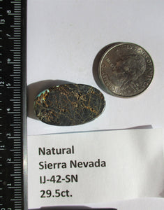 29.5 ct. (29x17x7 mm) 100% Natural Sierra Nevada Turquoise Cabochon Gemstone, # IJ 42