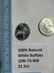 21.5 ct. (22.5x19x7 mm) 100% Natural White Buffalo Cabochon Gemstone 1DN 073